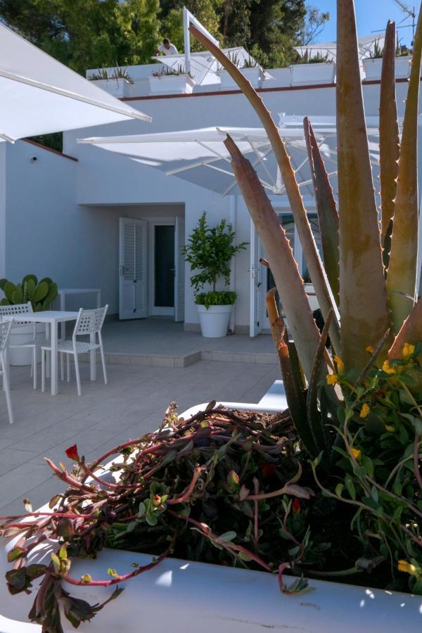 Map Enjoy Rooms San Vito Lo Capo Extérieur photo